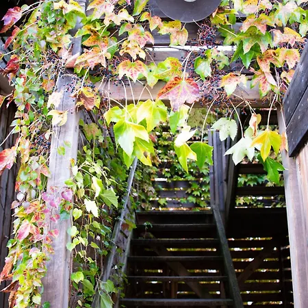 Domaine La Bonne Etoile 3* Beausemblant